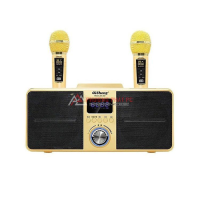 Loa Karaoke Bluetooth SDRD SD-309 Gold (5W, USB, Có khe thẻ nhớ, FM, Có Led, Kèm 2 mic)