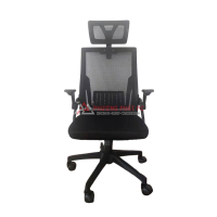 Ghế công thái học E-Dra EEC218