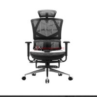 Ghế công thái học Sihoo M90B - Black